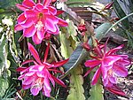 IMG_8834.JPG