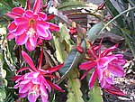IMG_8835.JPG