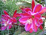 IMG_8836.JPG