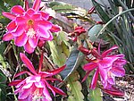 IMG_8837.JPG