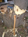 IMG_8813.JPG