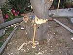 IMG_8814.JPG