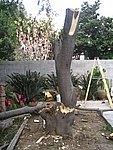 IMG_8818.JPG