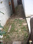 IMG_8819.JPG