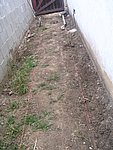 IMG_8822.JPG