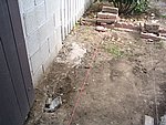 IMG_8825.JPG