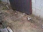 IMG_8827.JPG