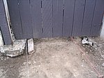 IMG_8828.JPG