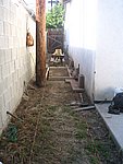 IMG_8850.JPG