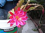 IMG_8865.JPG