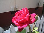 IMG_9282.JPG