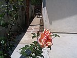 IMG_9435.JPG