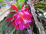 IMG_9436.JPG