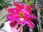 IMG_9438.JPG