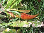 IMG_9440.JPG