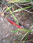 IMG_9444.JPG