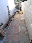IMG_9473.JPG