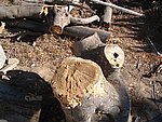 IMG_9476.JPG