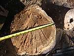 IMG_9477.JPG