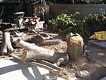 IMG_9481.JPG