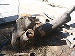 IMG_9482.JPG