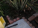 IMG_9483.JPG