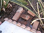 IMG_9484.JPG