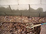 IMG_9489.JPG