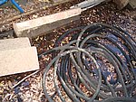 IMG_9490.JPG