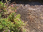 IMG_9491.JPG