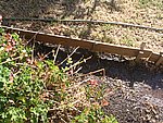 IMG_9492.JPG