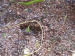 IMG_9496.JPG