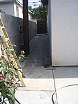 IMG_9497.JPG