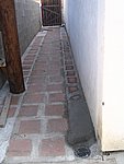 IMG_9498.JPG