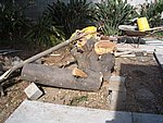 IMG_9499.JPG