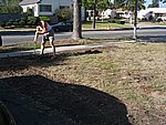 IMG_9519.JPG