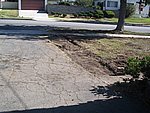 IMG_9524.JPG