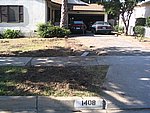 IMG_9525.JPG