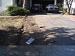 IMG_9526.JPG