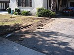 IMG_9528.JPG