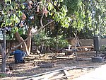IMG_9547.JPG