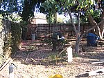IMG_9548.JPG