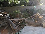 IMG_9551.JPG