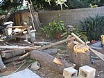 IMG_9552.JPG