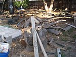 IMG_9553.JPG