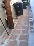 IMG_9556.JPG