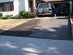 IMG_0495.JPG
