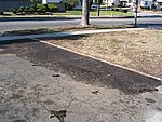 IMG_0498.JPG