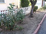 IMG_9564.JPG