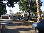 IMG_9565.JPG